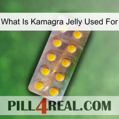 What Is Kamagra Jelly Used For new11